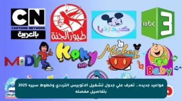 مواعيد جديدة.. تعرف على جدول تشغيل الأتوبيس الترددي وخطوط سيرة 2025 بتفاصيل مفصلة